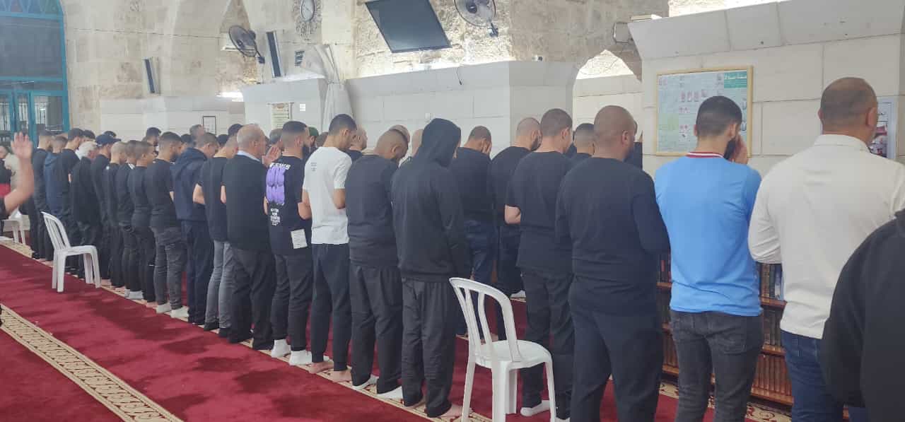 WhatsApp Image 2023-04-18 at 3.52.12 AM.jpeg